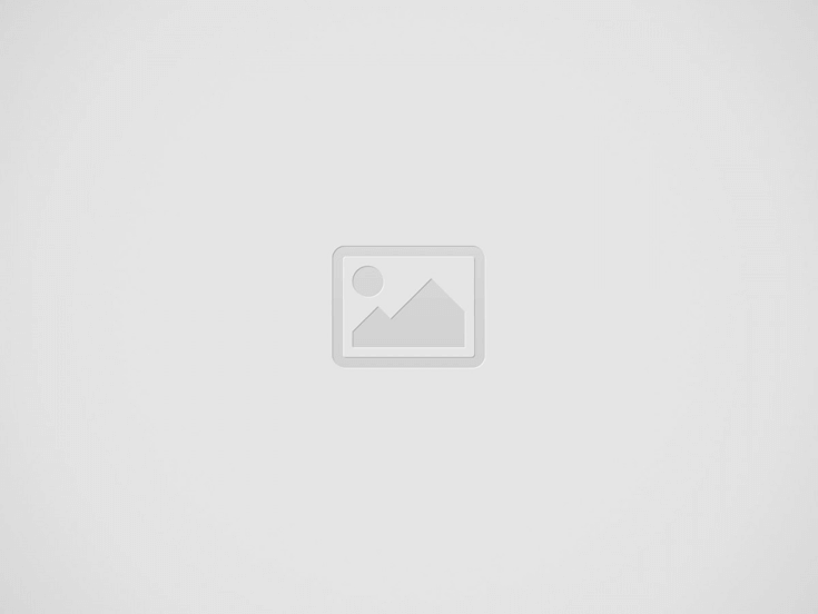 UPAS anticipazioni fino al 17 gennaio: chi lascia palazzo Palladini