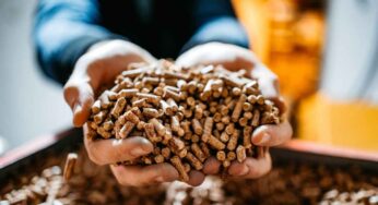 Cesto brucia pellet fai da te: come si prepara? Ma soprattutto, conviene?